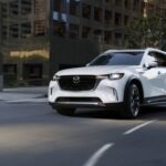 Un festín visual para tus sentidos »