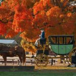 Los 5 problemas más comunes de Porsche »