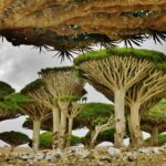 Top 5 Destinos Donde Dormir en Lugares Raros es Parte de la Experiencia »