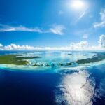 Volkswagen of America celebra su 70.º aniversario »