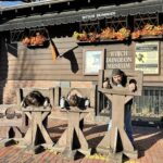 ¿Cuáles son los 5 hoteles de lujo en el Caribe con las suites overwater más exclusivas? »