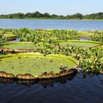 Los 5 destinos más fashion del mundo »