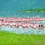 ¿Cuáles son los mejores autos para manejar en la lluvia y condiciones difíciles? »